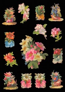 TWINBASE 斯奎爾拼貼/彩色 (7287)